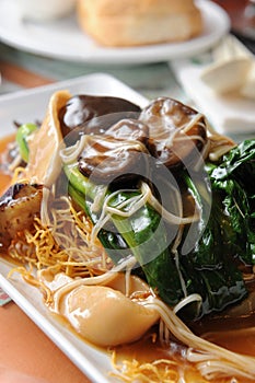 Chinese Style Vegetarian Cuisine