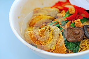 Chinese style vegetarian Wanton noodles