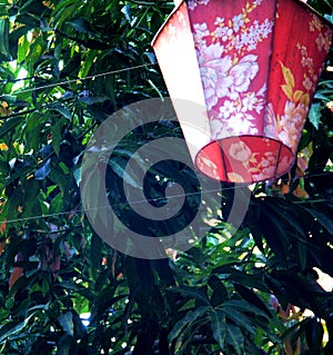 Chinese style Wooden lantern
