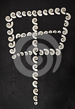 Chinese symbol made of shells photo