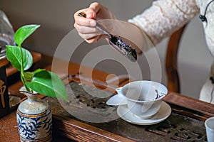 Chinese tea art