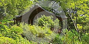 Chinese tea garden with pagoda