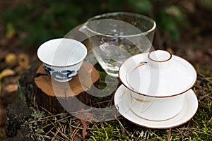 Chinese tea set for gong fu brewing tea