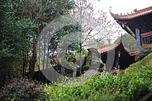 Chinese beside the temple of the red stone lion