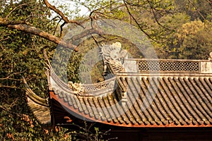 Chinese temple roof