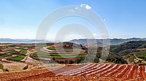 Chinese terrace farm with red soil