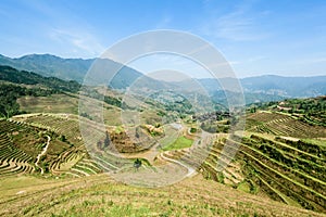 Chinese terraced fields landscape