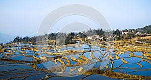 Chinese terraces