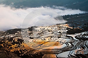 Chinese terraces photo