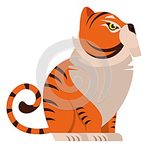 chinese tiger profile