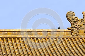 Chinese tiled roof within the Forbidden City, Beijing