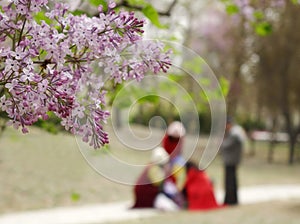 Chinese tourists in the spring outing season