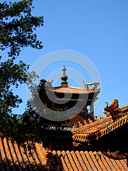 Chinese traditional Building - Forbidden City, the Palace Museum