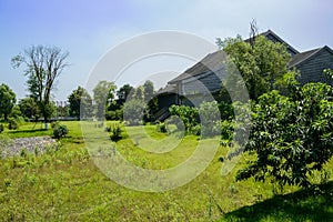 Chinese traditional building in trees at sunny summer noon