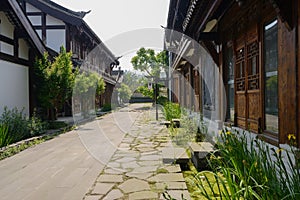 Chinese traditional buildings along street in sunny summer morning
