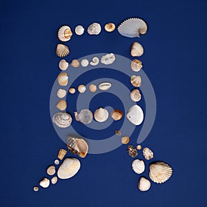 Chinese character made of shells photo