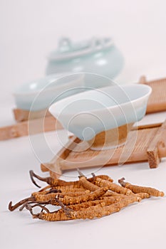 Chinese Traditional,Chinese medicine,traditional Chinese medicine,Medicinal herbs,