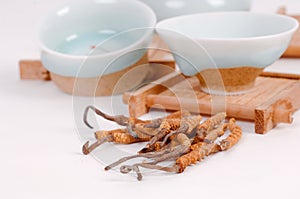 Chinese Traditional,Chinese medicine,traditional Chinese medicine,Medicinal herbs,