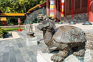 Chinese traditional culture, ancient bronze statue of tortoise in front of New Yuan Ming Palace in Zhuhai, China