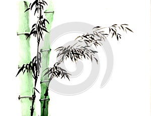 Chinese traditional distinguished gorgeous decorative hand- bamboo sketch