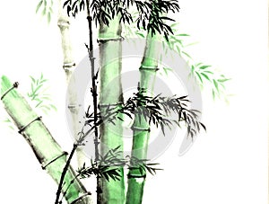 Chinese traditional distinguished gorgeous decorative hand- bamboo sketch