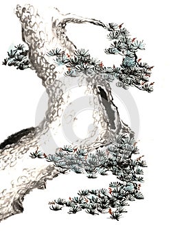 Chinese traditional distinguished gorgeous decorative hand-painted ink-pine tree photo