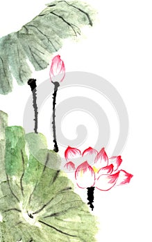 Chinese traditional distinguished gorgeous decorative hand-painted ink-water lily