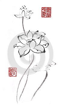 Chinese traditional distinguished gorgeous decorative hand-painted ink-water lily