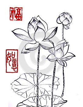 Chinese traditional distinguished gorgeous decorative hand-painted ink-water lily