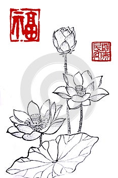 Chinese traditional distinguished gorgeous decorative hand-painted ink-water lily photo