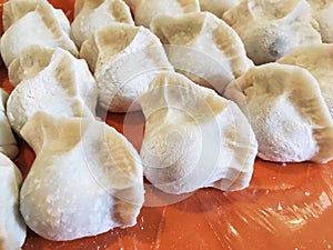 Chinese dumblings photo