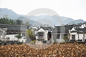 Chinese traditional Hui Style ancient architecture photo