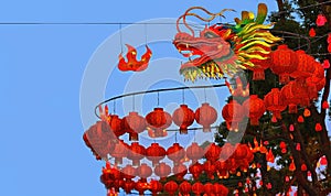 Chinese traditional illuminated dragon lantern's.