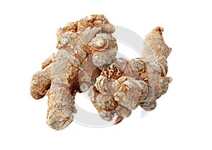 Chinese traditional medicine Chinses Angelica Angelica herb root