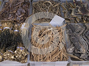 Chinese Traditional Medicine - Squid,Sea Horse,Lizard etc