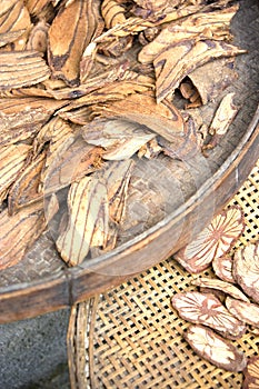 Chinese Traditional Medicine Tree Barks photo