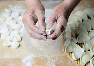 Chinese traditional pasta, dumplings