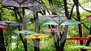 Chinese umbrellas no.1