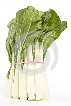 Chinese Vegetable (bok choy)