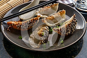Chinese Vegetable Dumplings
