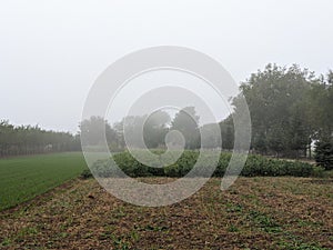 Chinese village in the Autumn foggy day