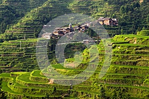 Chinese Village on the rice terrace