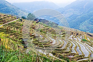 Chinese village and rice terraces, Guilin, Guangxi, China.