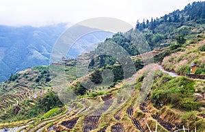 Chinese village and rice terraces, Guilin, Guangxi, China.