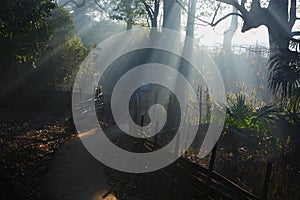 Chinese village road in sunlight