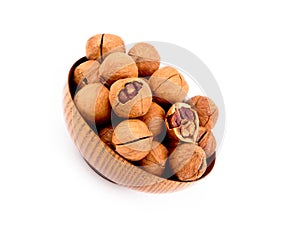 Chinese walnut