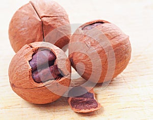 Chinese walnut