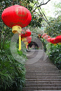 Chinese Wedding Lantern