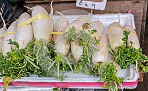 Chinese White Radish at Tai Po Market, Hong Kong China