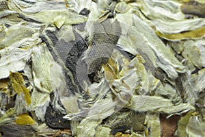 Chinese white tea leaves